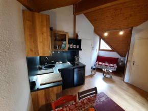 Appartement au pied des pistes